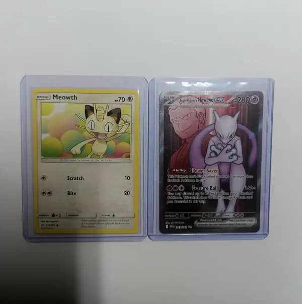 mewtwo & meowth