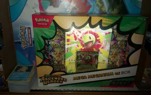 Ex box pokemon