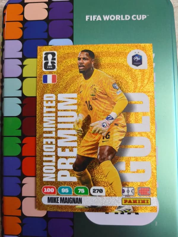 Mike Maignan Gold World Cup Card