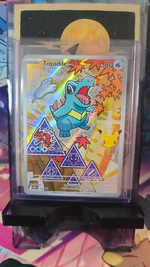 Gen 2 - Chikorita/Cyndaquil/Tododile image 4