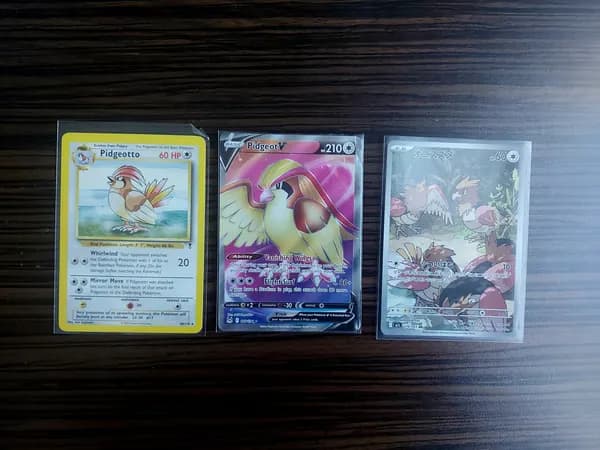Pokemon birds: Pidgeotto, Pidgeot & Spearow