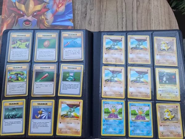Huge Pokémon Lot