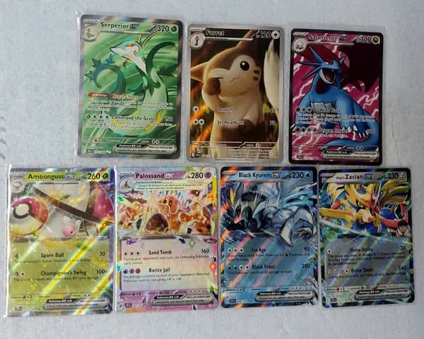 Furret IR pokemon lot image 1