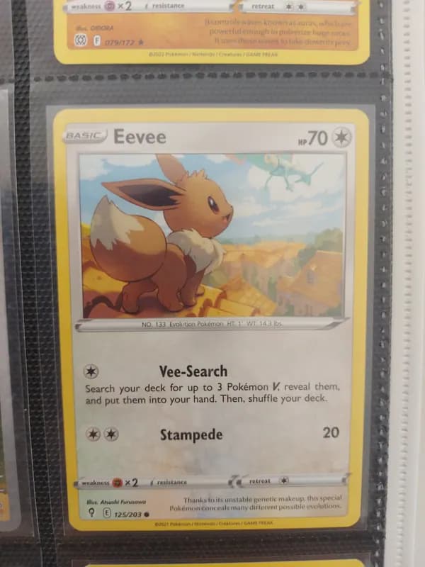 Rayquaza and eevee lot image 1