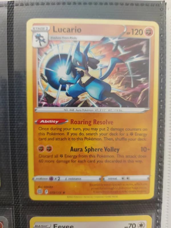 Rayquaza and eevee lot image 3