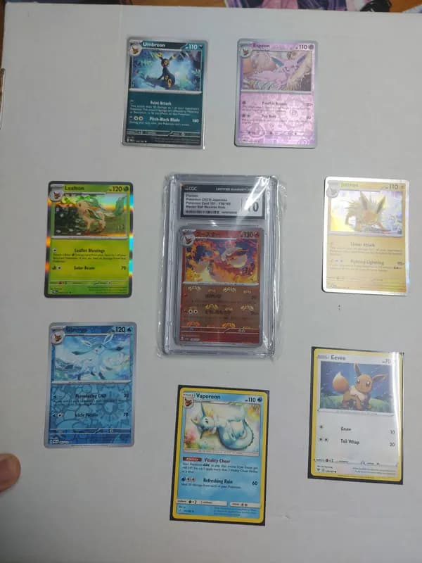 Eeveelution lot