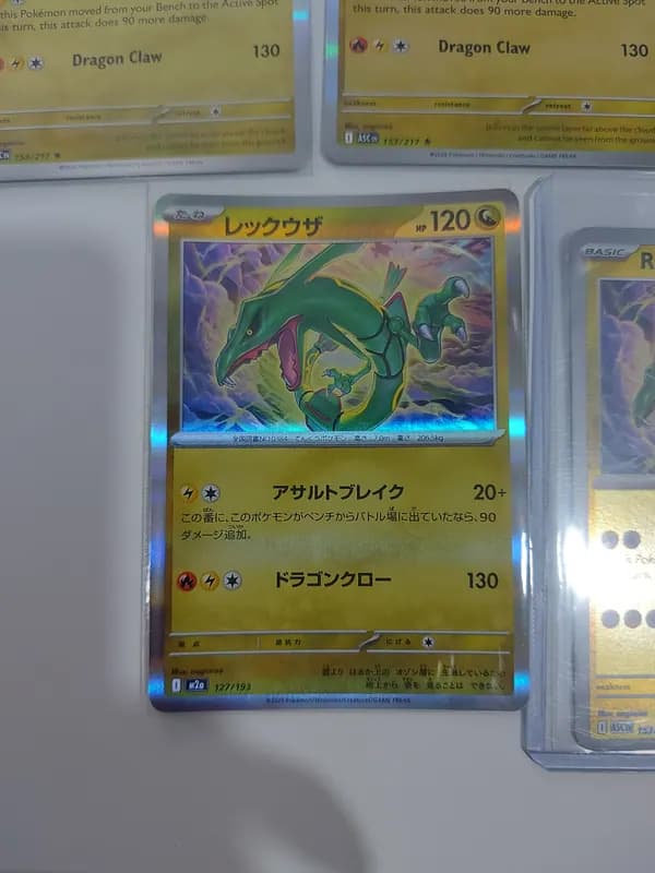 🐛Rayquaza lot image 3