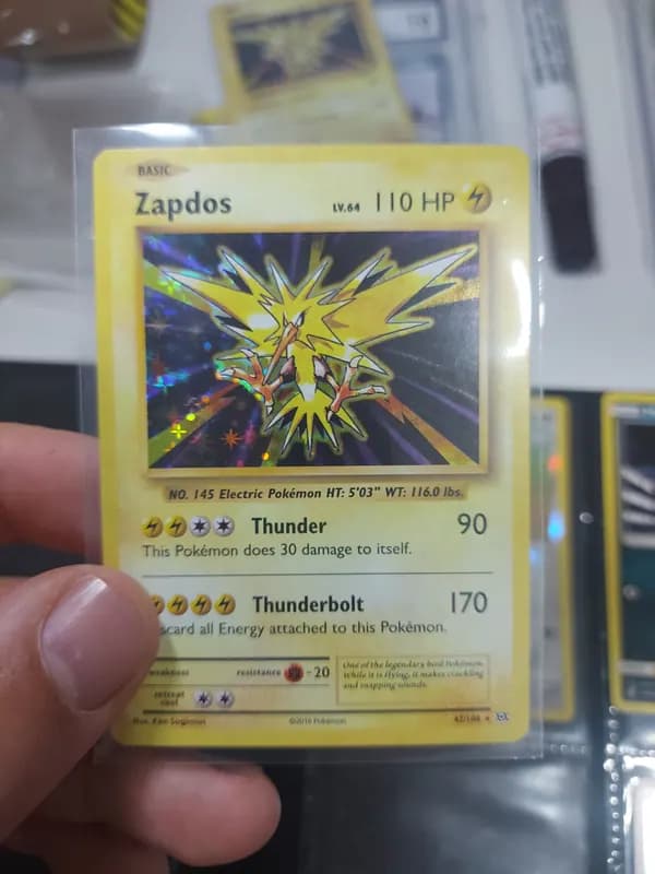 ⚡️❄️The Legendary birds: Zaptos, Articuno image 2