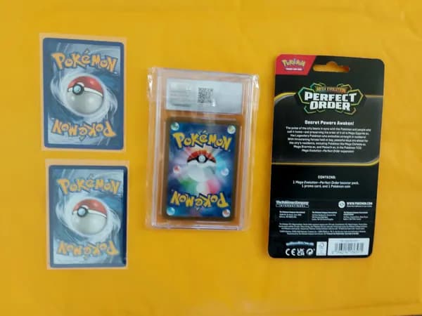 ☄️Nidoqeen lot image 2