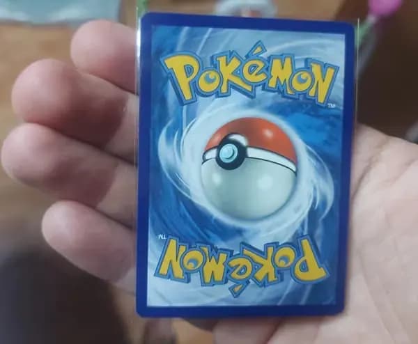 Sharpedo and Azurill reverse holos back from 2019 image 5