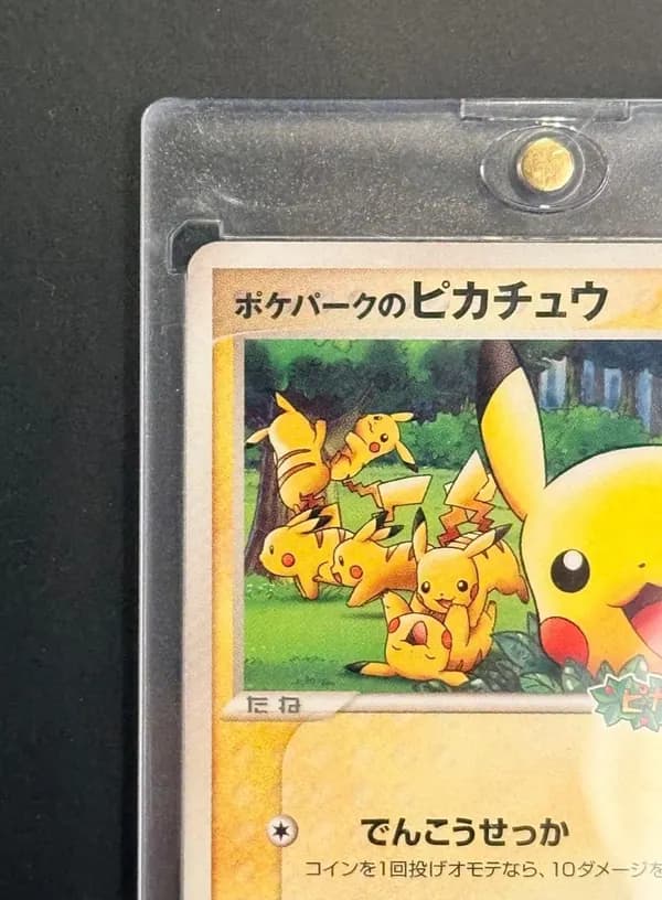 Pikachu PokéPark Promo image 2