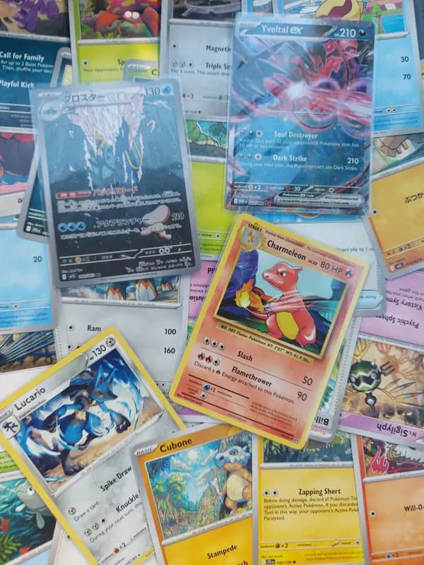🔥XY Evolutions Charmeleon lot - Vintage and retro lot: Fullart, ex, retro, vintage (×100 cards)
